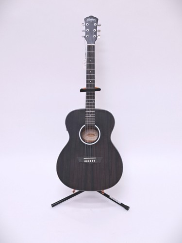 Washburn deep forest ebony - deep,