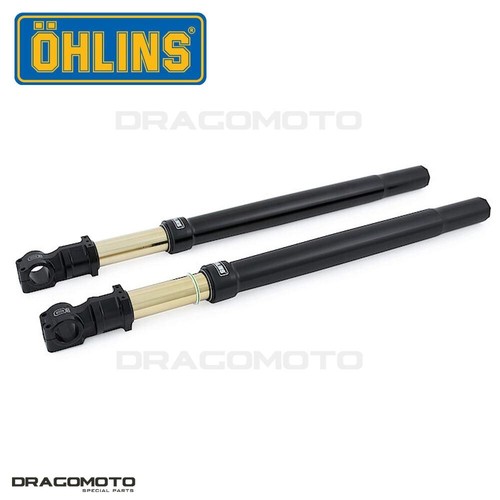 Custom fourche noir ohlins - custom,