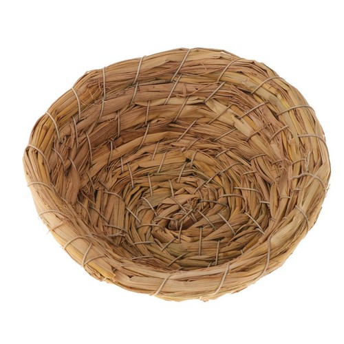 Cage nid oiseau en - nid, d'oiseau