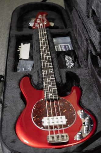 Ernie ball music - man, stingray