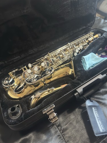 Mint alto saxophone - mint,