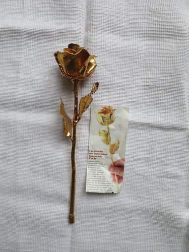 Rose eternelle couche d or - -,