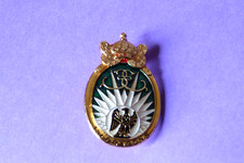 INSIGNE "13ème RDP" RÉGIMENT