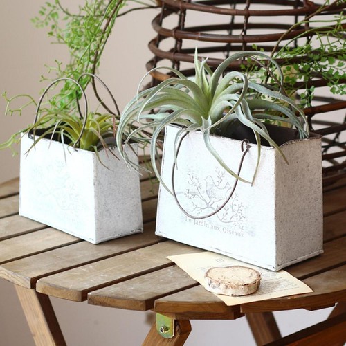 Jardinière seau plat - seau,
