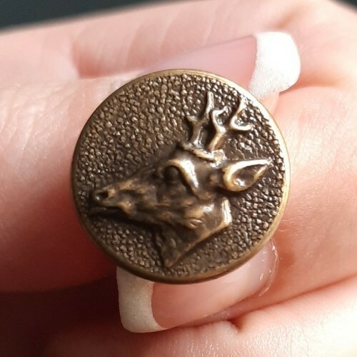 F05a07 brown deer - f05a07,