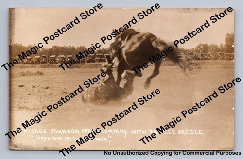Antique rodeo photo cage - photo, "cage