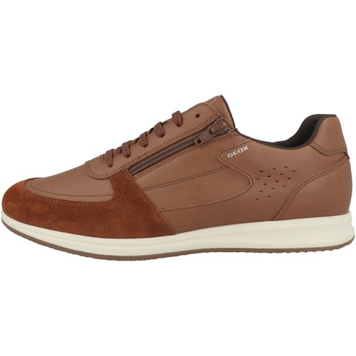 Geox avery sneaker low top - geox, u
