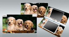 Dogs z24 vinyl decal skin - dogs,