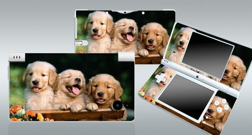 Dogs z24 vinyl - z24,
