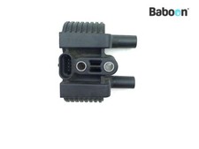 Bobine Harley-Davidson XL 1200