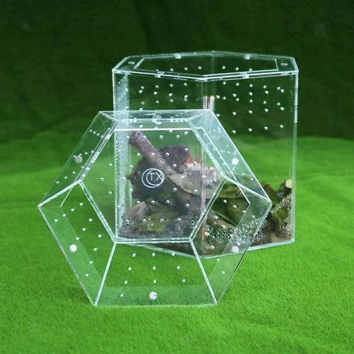 Terrarium pour reptiles - pour,