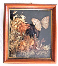 CADRE TABLEAU Véritable PAPILLON Fleurs Séchées Thème La NATURE Belle DécoMurale