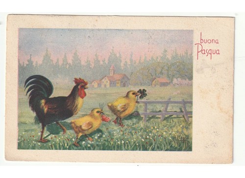 1951 pays bas campagne - a.pays-bas, de