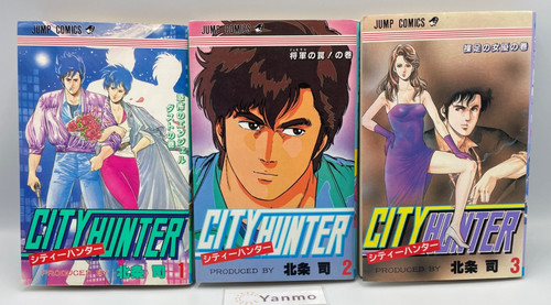 City hunter vol 3 - city, vol.