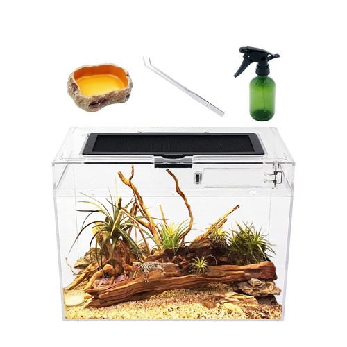 Reptile growth mini - growth,