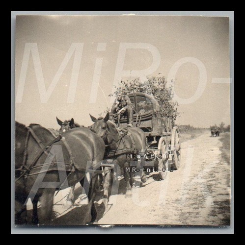 Photo ww2 campagne de - campagne,