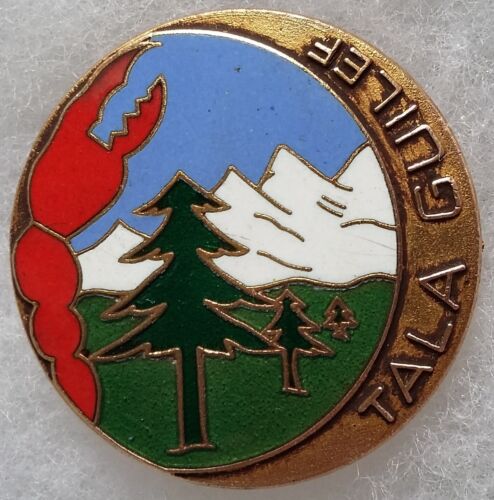 Insigne commando afn algérie - insigne,