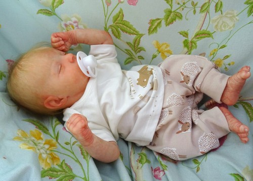 Reborn small newborn baby - , cal