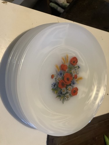 Assiette arcopal vintage - assiette,