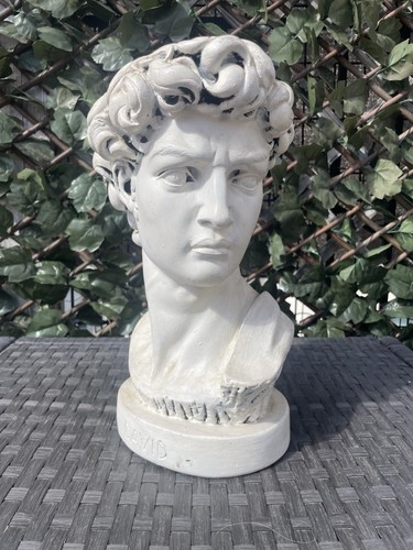 Large michelangelo david bust - large,