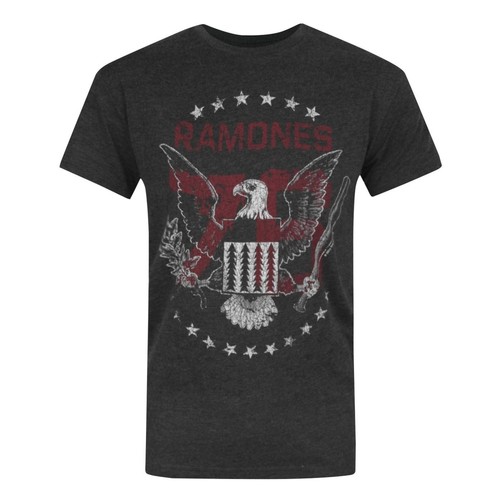 Amplified shirt officiel - amplified,