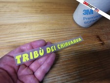 Tribu Chihuahua Valentino