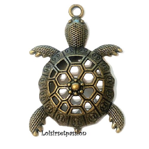 Lot tortue ciselé - de,