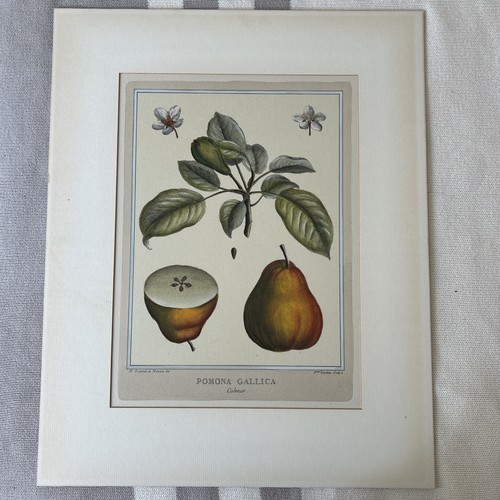 Duhamel monceau 1768 - duhamel,