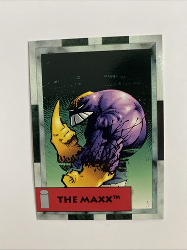 1993 image the - the, maxx