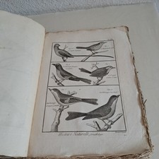 Bonnaterre tableau - bonnaterre,
