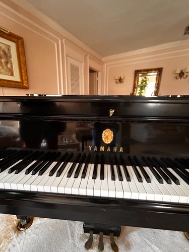 Yamaha concert grand piano - grand,