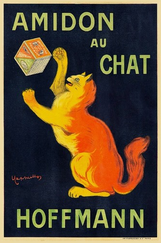 Amidon chat hoffmann - chat,
