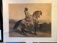 Chevaux de selle et