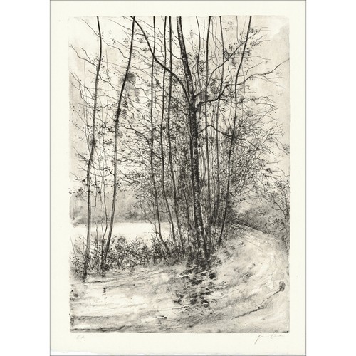 Gantner bernard lithographie - gantner,