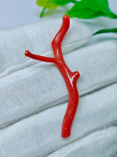 Branche polie corail - branche, rouge