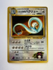 Pokemon Japanese Erika's