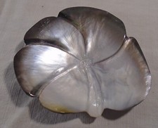 ANCIENNE COQUILLE NACRE