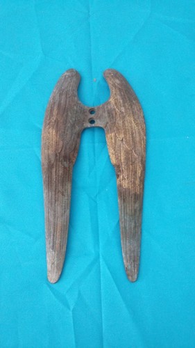 Rare paire ailes bronze dore - rare,