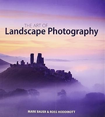 The art landscape - the, of