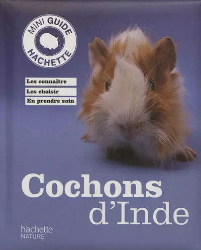 Cochon inde immanuel - cochon,