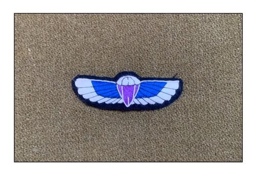 Ww2 brevet para sas - brevet, rcp