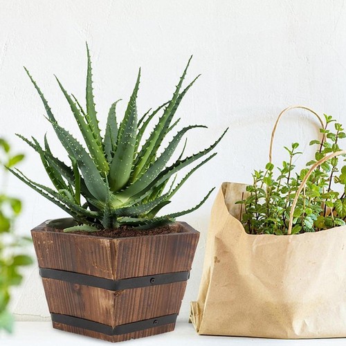 Jardinière bois - jardinière, en