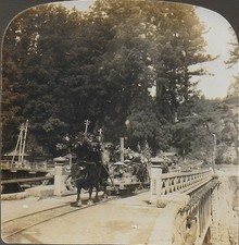 JAPON - PHOTO-STEREO - 1901  :  L'EXPRESS DE NIKKO - UN TRAIN A BOEUFS - 1
