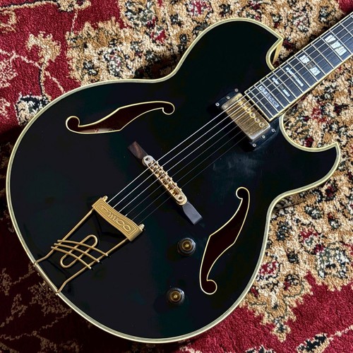 Ibanez pm100 pat - pm100,