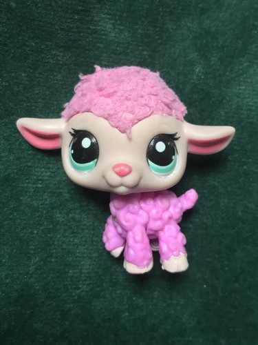 🌺🌺Petshop mouton