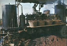 Carte postale fantaisie