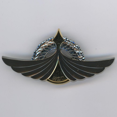 Brevet tireur hot 86 - gs,