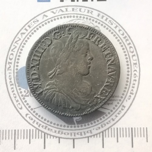 Louis xiv demi - louis, portrait