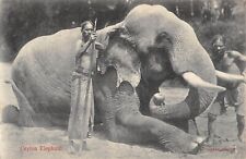 CPA CEYLON ELEPHANT 