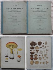 ATLAS DES CHAMPIGNONS Richon &